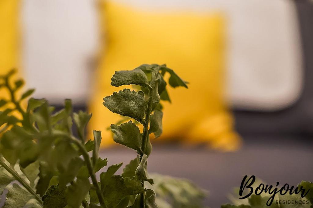Spacious 2Br-1Ba - Grassmarket - Free Parking By Bonjour Residences Edimburgo Esterno foto